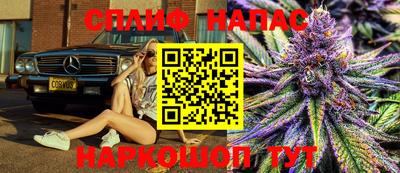 гашик Обнинск