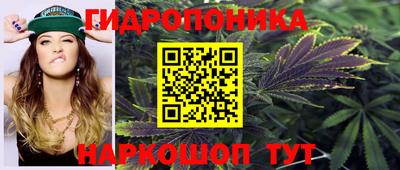 гашик Обнинск