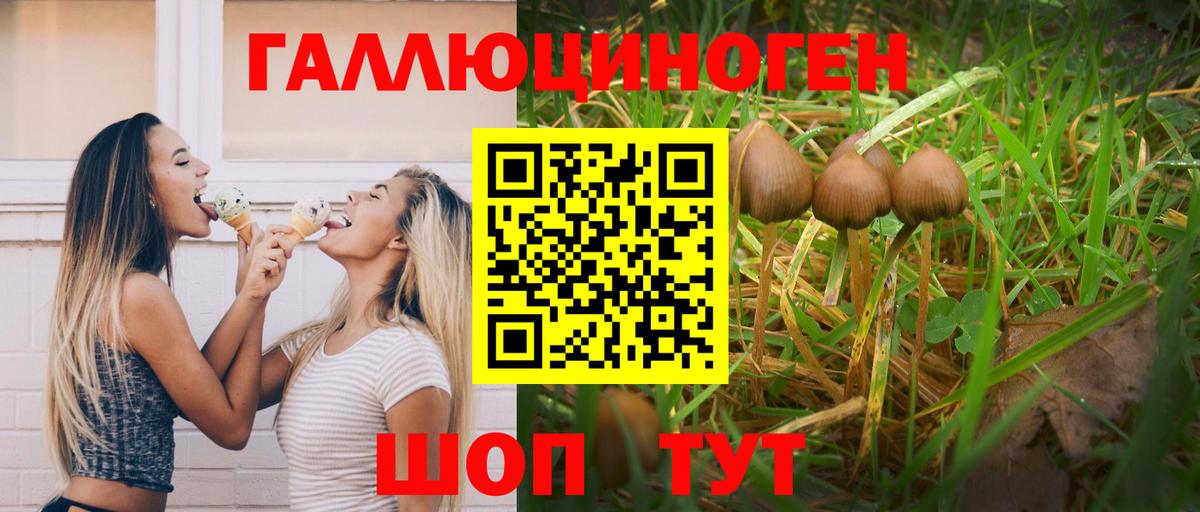 Галлюциногенные грибы мицелий Сыктывкар
