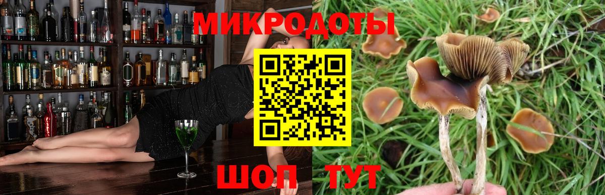 Псилоцибиновые грибы мицелий  Вход с VPN  Сыктывкар 